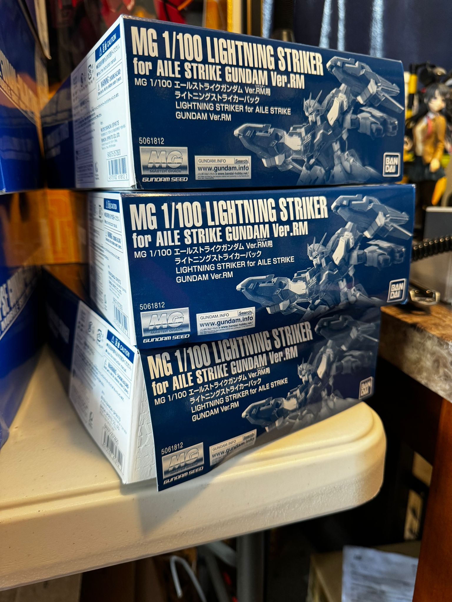 P204QX Lightning Striker for Aile Strike Gundam Ver.RM